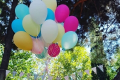 Αερόστατο από Μπαλόνια