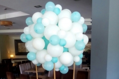 Αερόστατο από Μπαλόνια Organic!