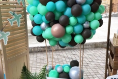 Αερόστατο από Μπαλόνια Organic!